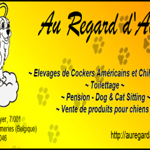 Au Regard d'Ange Au Regard d'Ange