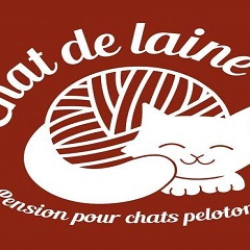 Chat de Laine Chat de Laine
