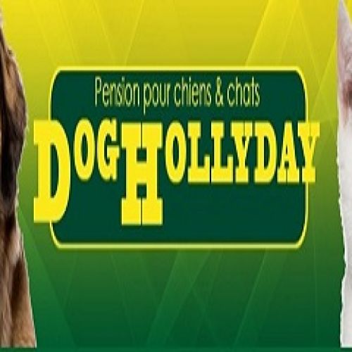 Dog Hollyday Dog Hollyday