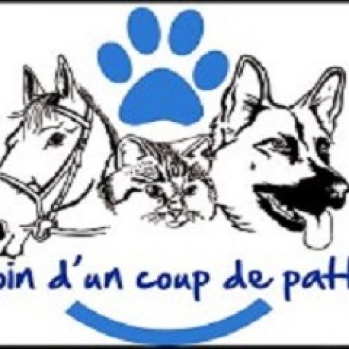Besoin d'un Coup de Pattes Besoin d'un Coup de Pattes