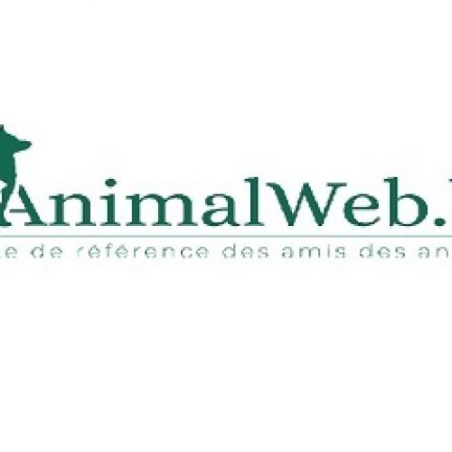 Banner AnimalWeb