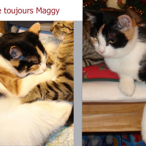 Maggy Maggy