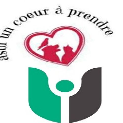 Un Coeur a prendre Un Coeur a prendre