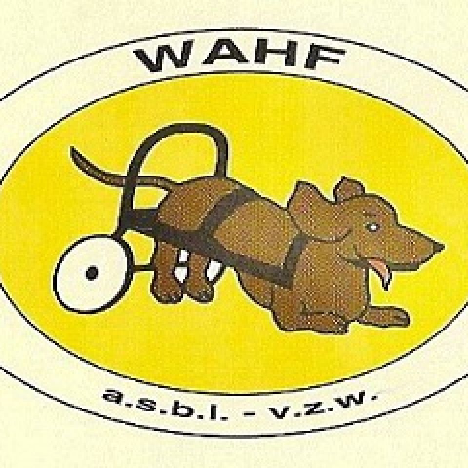 Whaf Refuge pour animaux AnimalWeb