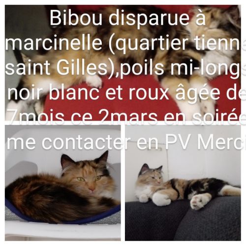 Bibou Bibou