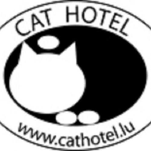 Cat Hotel Cat Hotel