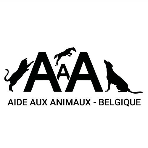 A.A.A. A.A.A.