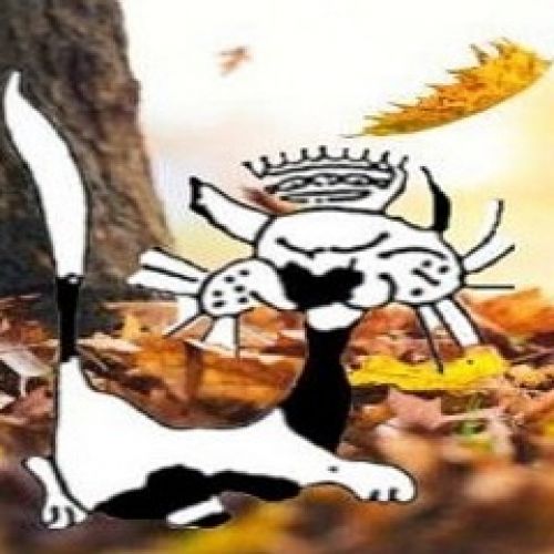 Chats Libres Chats Libres