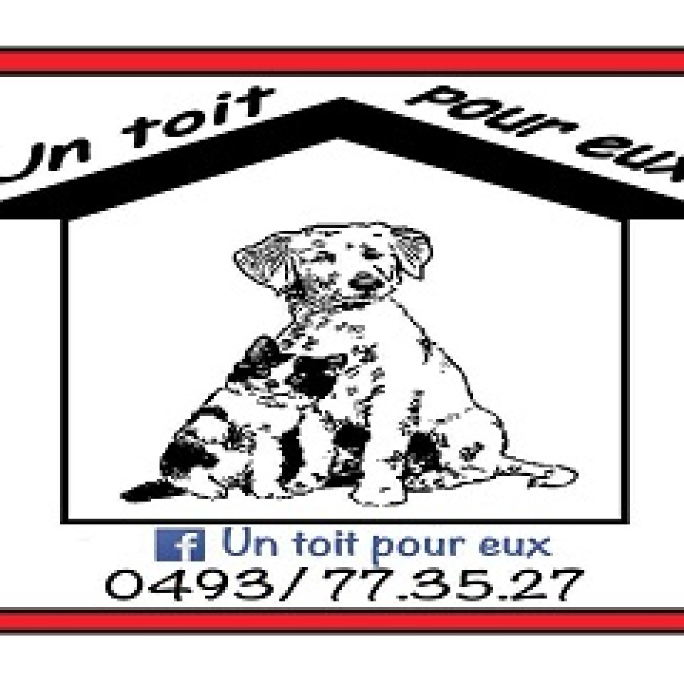 Un Toit pour Eux Refuge pour animaux AnimalWeb