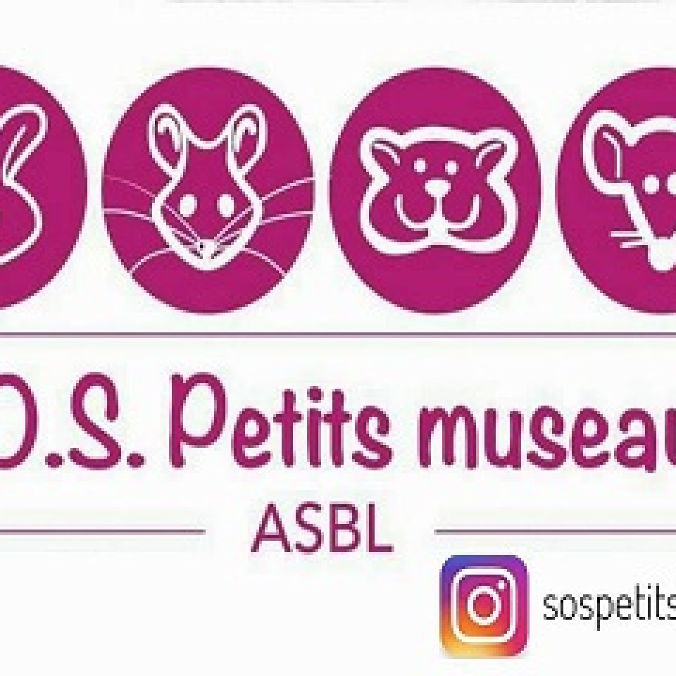 Sos Petits Museaux Refuge pour animaux AnimalWeb