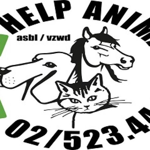 Help Animals Help Animals