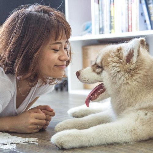 Communiquer avec son animal décédé Communiquer avec son animal décédé