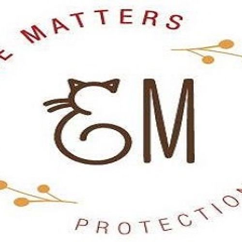 Everyone Matters Everyone Matters
