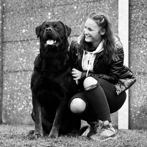 Noémie C. - Petsitter à Wépion - Belgique | AnimalWeb Noémie C. - Petsitter à Wépion - Belgique | AnimalWeb