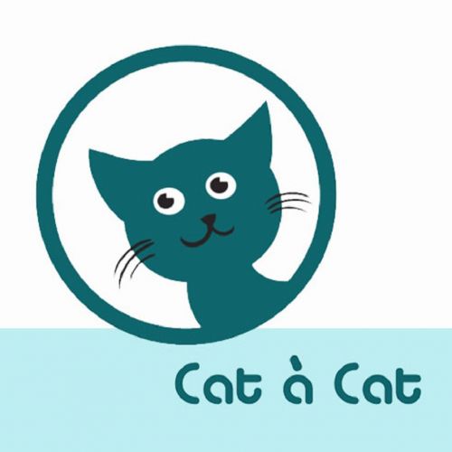 Cat à Cat Cat à Cat