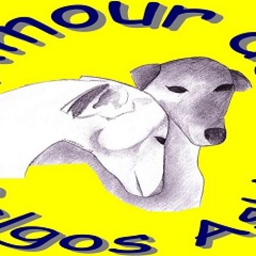 Amour de Galgos Amour de Galgos