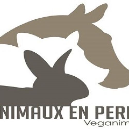 Animaux en Peril Animaux en Peril