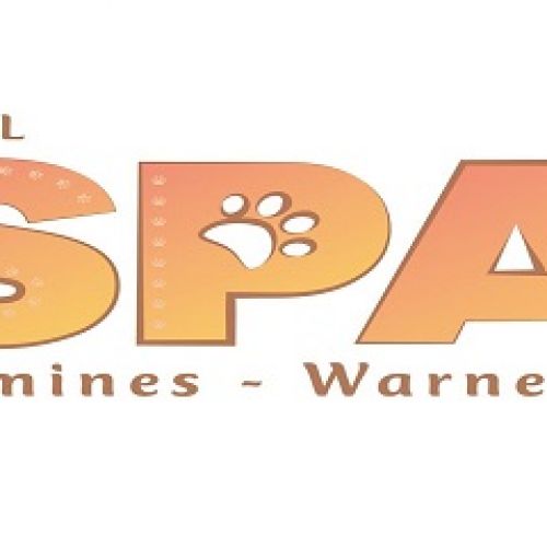 SPA Comines SPA Comines