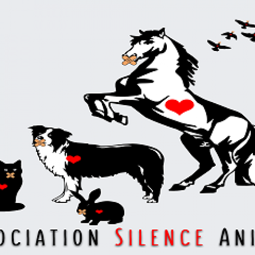 Silence Animal Silence Animal