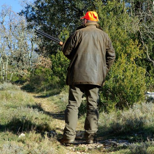 Profiter en toute sécurité de la nature en période de chasse Profiter en toute sécurité de la nature en période de chasse