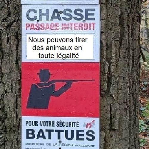 Profiter en toute sécurité de la nature en période de chasse Profiter en toute sécurité de la nature en période de chasse