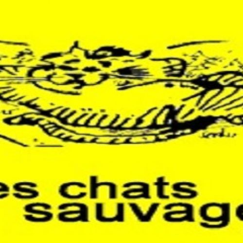 Les Chats Sauvages Les Chats Sauvages