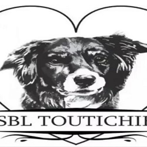 Toutichien Toutichien