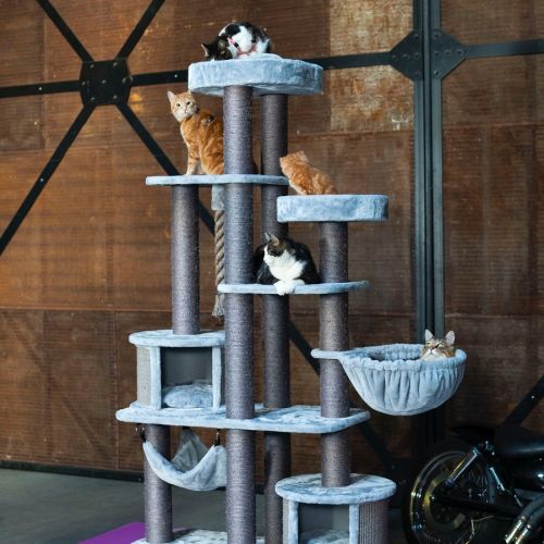 Arbre à chats AnimalWeb Belgique