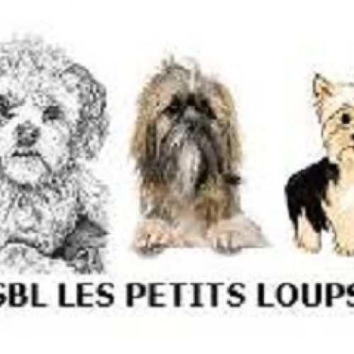 Les Petits Loups Les Petits Loups
