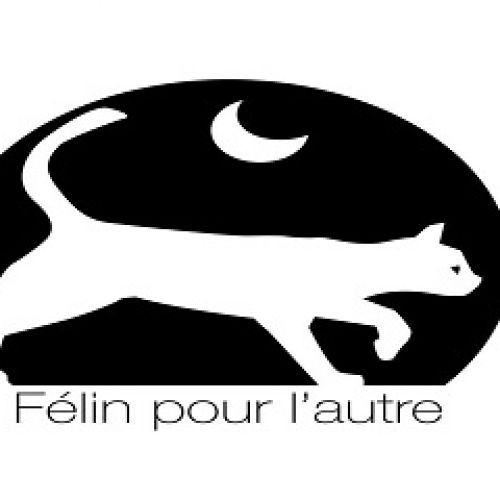 Félin pour l'Autre Félin pour l'Autre