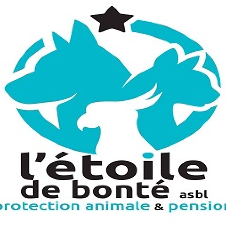 Etoile de Bonté Refuge pour animaux AnimalWeb