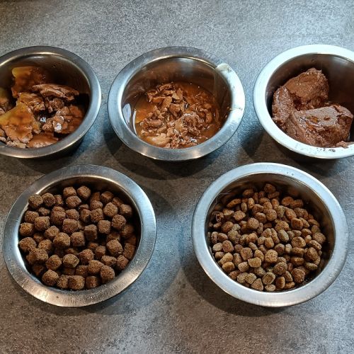 Quelles sont les vitamines nécessaires pour les chats et les chatons ? Quelles sont les vitamines nécessaires pour les chats et les chatons ?