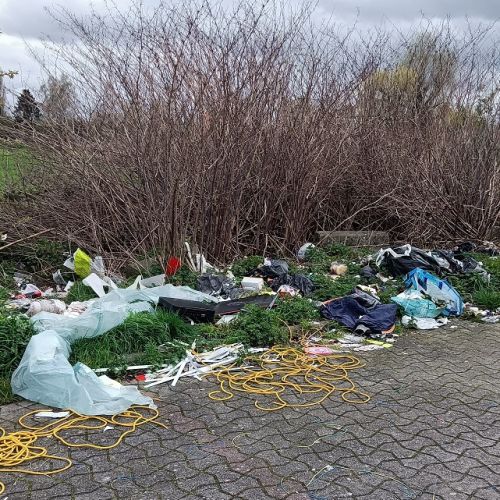 Quel est le profil du citoyen qui pollue la nature ? Quel est le profil du citoyen qui pollue la nature ?