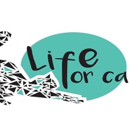 Life for Cats Life for Cats