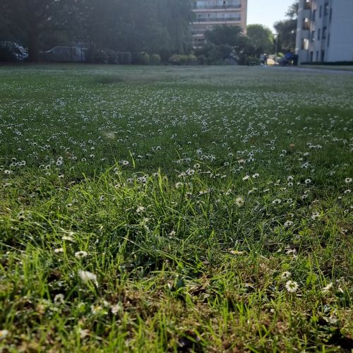 Nafissatou C. - 9 euros/heure - 25 euros/jour Nafissatou C. - 9 euros/heure - 25 euros/jour