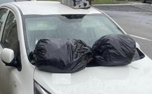 Sacs-poubelles sur une Kia Sacs-poubelles sur une Kia - AnimalWeb Belgique