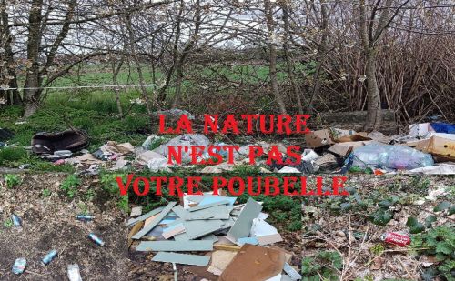 Déchets dans la nature Déchets dans la nature - AnimalWeb Belgique