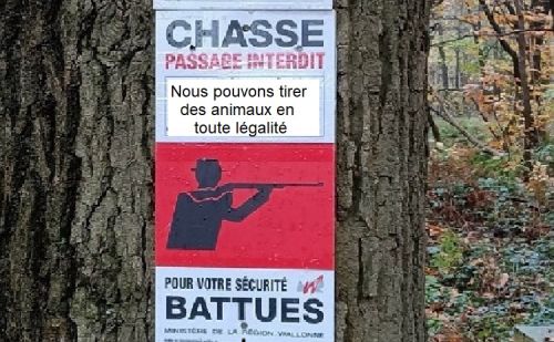La saison de la chasse a débuté La saison de la chasse a débuté