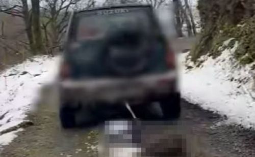 Capture d'écran de la vidéo montrant l'animal traîné sur plusieurs kil