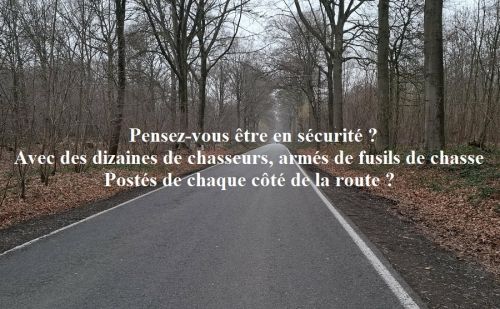 Photo prise rue Louis Goblet (N526) au niveau du bois de Baudour, une 