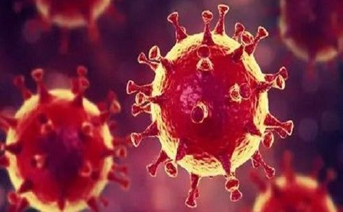 Coronavirus Coronavirus