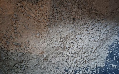 La litière minérale Everyday de Colruyt