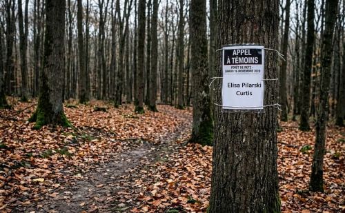 Affiche d'appel à témoins concernant l'affaire Elisa Pilarski et le ch