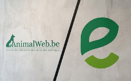 AnimalWeb vs Ecolo : critique du bien-être animal et faune sauvage.