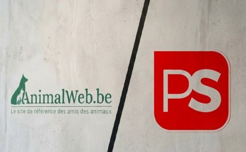 AnimalWeb vs PS : enquête sur la chasse et la protection animale.