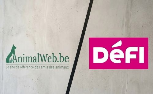 AnimalWeb vs DéFI : silence d'un parti urbain sur la faune.