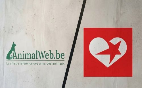 AnimalWeb vs PTB : indifférence idéologique face à la faune sauvage.
