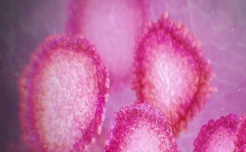 Coronavirus Coronavirus