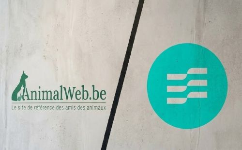 AnimalWeb vs Les Engagés : critique de l'inaction sur la chasse en Wal