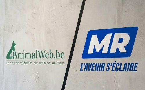 AnimalWeb vs MR : trahison des promesses sur la chasse en Wallonie.